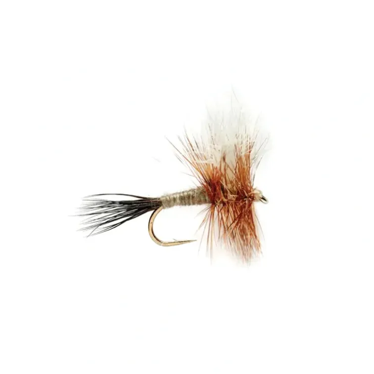 Adams Wulff - Your Premium Fishing Gear Store Rods Lines Baits Accessories^ Hot