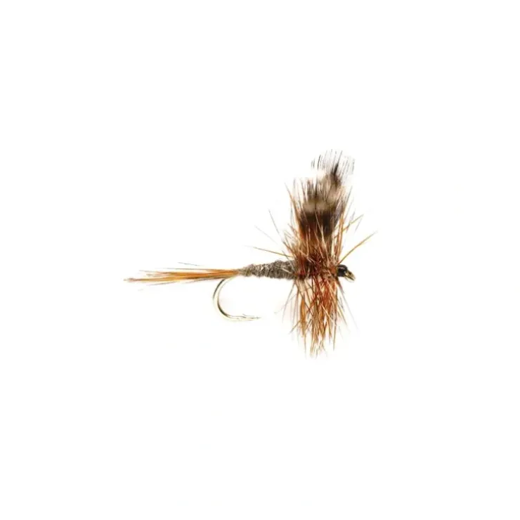 Adams - Your Premium Fishing Gear Store Rods Lines Baits Accessories^ Cheap