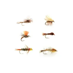 All Around Trout Selection - Your Premium Fishing Gear Store Rods Lines Baits Accessories^ Store