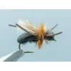 Ant Black #14 - Your Premium Fishing Gear Store Rods Lines Baits Accessories^ Store
