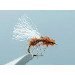 Anty Raid Glass Cinnamon #16 - Your Premium Fishing Gear Store Rods Lines Baits Accessories^ Store