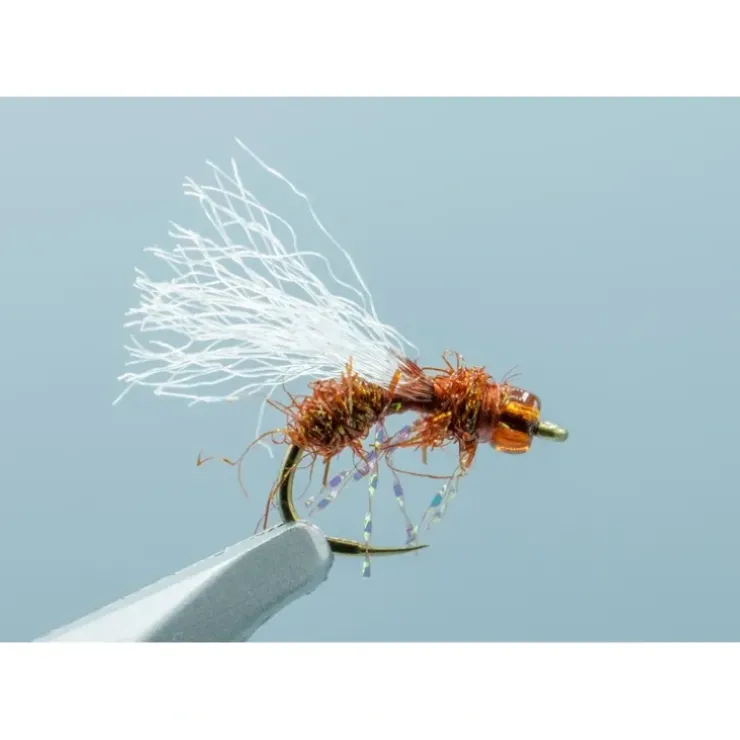 Anty Raid Glass Cinnamon #16 - Your Premium Fishing Gear Store Rods Lines Baits Accessories^ Store