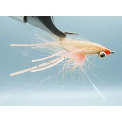 Arctic Bone Spawning Shrimp #6 - Your Premium Fishing Gear Store Rods Lines Baits Accessories^ Cheap