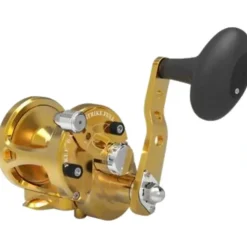 Avet SX 5.3 G2 Lever Drag Conventional Reels - Your Premium Fishing Gear Store Rods Lines Baits Accessories^ New