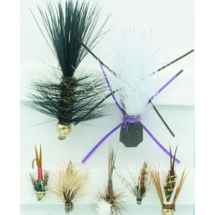 Basic Trout Assortment - Your Premium Fishing Gear Store Rods Lines Baits Accessories^ Store