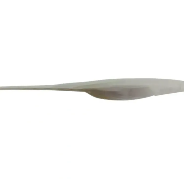 Bass Assassin Shad Assassin Soft Jerkbait - Your Premium Fishing Gear Store Rods Lines Baits Accessories^ Store