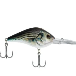 Berkley Dredger, Weighted Bill, Deep Diver Crankbait (Assorted Sizes and Colors) - Your Premium Fishing Gear Store Rods Lines Baits Accessories^ Discount