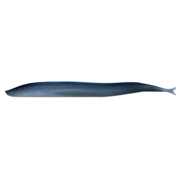 Berkley Gulp Sand Eel, 5", 6pk, Sapphire Shine - Your Premium Fishing Gear Store Rods Lines Baits Accessories^ Outlet