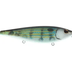 Berkley HighJacker Saltwater Top Water, 2/3oz, 3 7/8", Pinfish - Your Premium Fishing Gear Store Rods Lines Baits Accessories^ Store
