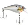 Berkley SquareBull Crankbait, 2 3/8", 3/8oz, Sexier Shad, Floating - Your Premium Fishing Gear Store Rods Lines Baits Accessories^ Discount