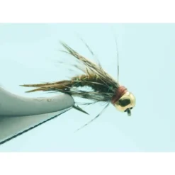 BH King Prince #14 - Your Premium Fishing Gear Store Rods Lines Baits Accessories^ Flash Sale