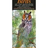 Birds-Rocky Mountain Quick Reference Guide - Your Premium Fishing Gear Store Rods Lines Baits Accessories^ Flash Sale