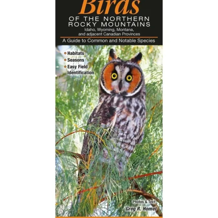 Birds-Rocky Mountain Quick Reference Guide - Your Premium Fishing Gear Store Rods Lines Baits Accessories^ Flash Sale