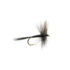 Black Gnat - Your Premium Fishing Gear Store Rods Lines Baits Accessories^ New