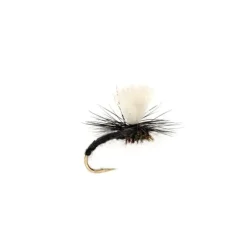 Black Klinkhammer - Your Premium Fishing Gear Store Rods Lines Baits Accessories^ Online