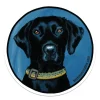 Black Lab Brown Trout Collar Sticker - Your Premium Fishing Gear Store Rods Lines Baits Accessories^ Store