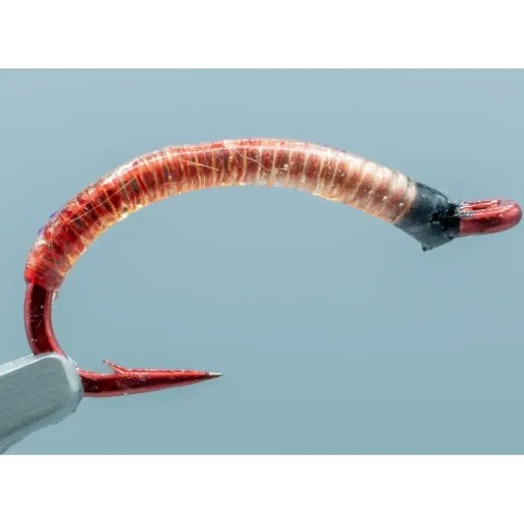 Bloodworm Red #08 - Your Premium Fishing Gear Store Rods Lines Baits Accessories^ Best Sale