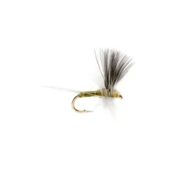 Blue Winged Olive Thorax - Your Premium Fishing Gear Store Rods Lines Baits Accessories^ Clearance