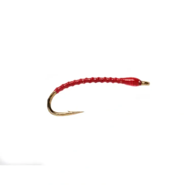 Boroffs Anneworm Red - Your Premium Fishing Gear Store Rods Lines Baits Accessories^ Discount