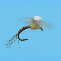 Brooks Sprout PMD - Your Premium Fishing Gear Store Rods Lines Baits Accessories^ Outlet