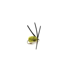 Bully Bluegill Spider Olive - Your Premium Fishing Gear Store Rods Lines Baits Accessories^ Shop