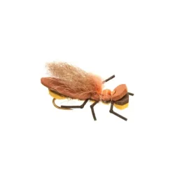 Burkus Bearback Rider Golden - Your Premium Fishing Gear Store Rods Lines Baits Accessories^ Cheap