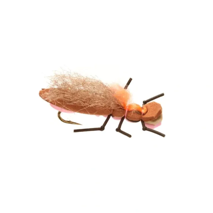Burkus Long Shank Bearback Rider Pink - Your Premium Fishing Gear Store Rods Lines Baits Accessories^ Best Sale
