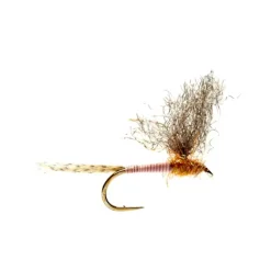 Burkus' Pink MD - Your Premium Fishing Gear Store Rods Lines Baits Accessories^ Online