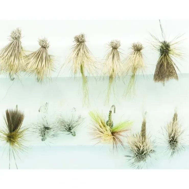 Caddis Dry Assortment- Olive - Your Premium Fishing Gear Store Rods Lines Baits Accessories^ Cheap