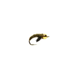 Caddis Pupa Olive Beadhead - Your Premium Fishing Gear Store Rods Lines Baits Accessories^ Hot