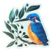 Cara Jane Murray Kingfisher Sticker - Your Premium Fishing Gear Store Rods Lines Baits Accessories^ Best Sale