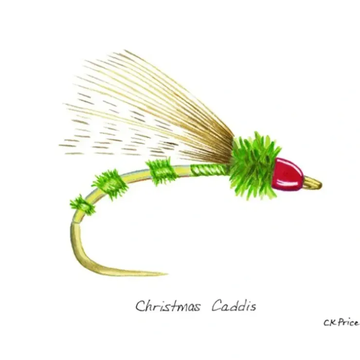 Caroline Price Art - Christmas Caddis 5 Pack w/ Envelops - Your Premium Fishing Gear Store Rods Lines Baits Accessories^ Discount