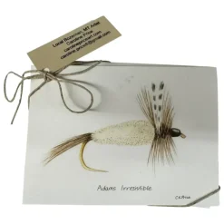 Caroline Price Art 10 Pack w/Envelopes - Your Premium Fishing Gear Store Rods Lines Baits Accessories^ Hot