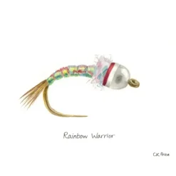 Caroline Price Art Rainbow Warrior 10 Pack w/Envelopes - Your Premium Fishing Gear Store Rods Lines Baits Accessories^ Cheap