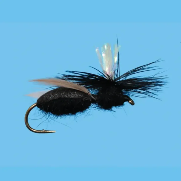 Carpenter Ant - Your Premium Fishing Gear Store Rods Lines Baits Accessories^ Fashion