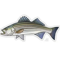 Casey Underwood Fish Decal - Salt Water - Your Premium Fishing Gear Store Rods Lines Baits Accessories^ Clearance