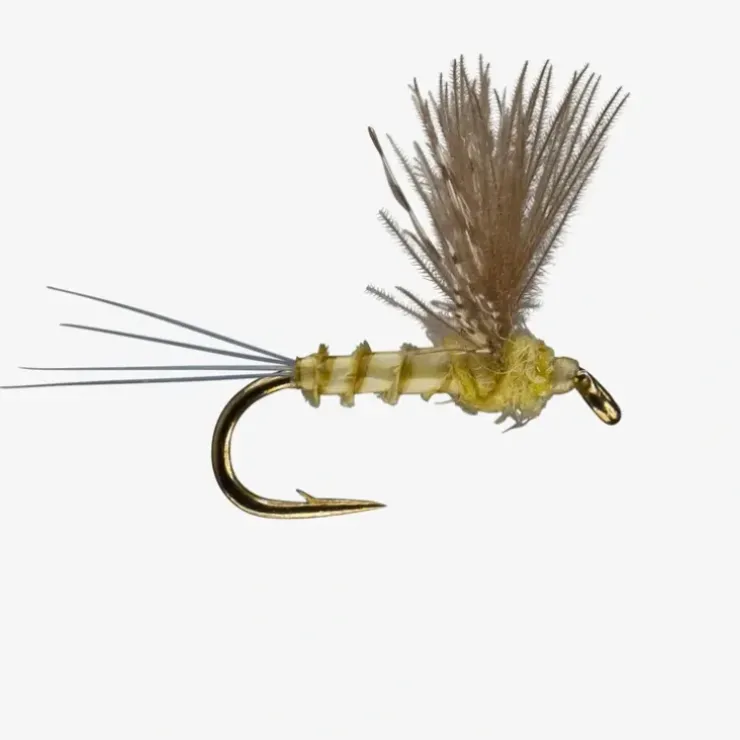 CDC Biot Comparadun PMD - Your Premium Fishing Gear Store Rods Lines Baits Accessories^ Store