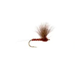 CdC Camparadun Mahogany - Your Premium Fishing Gear Store Rods Lines Baits Accessories^ Flash Sale