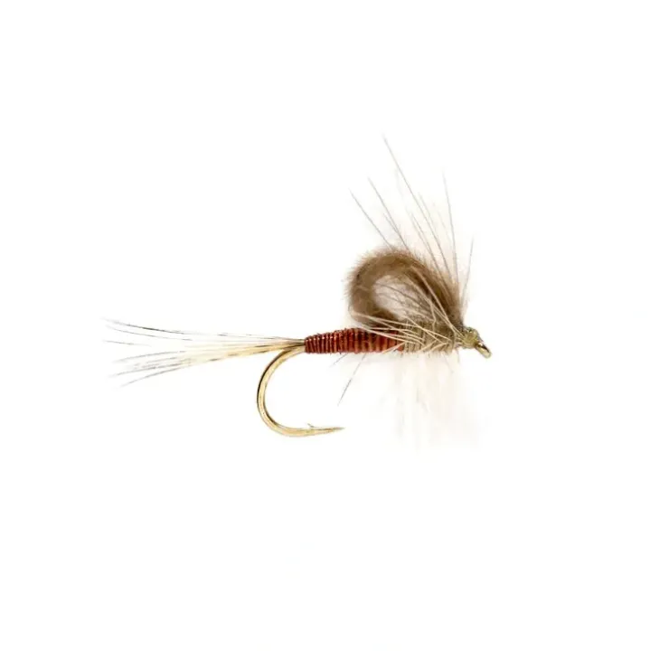 CdC Loopwing Quill Emerger Hendrickson - Your Premium Fishing Gear Store Rods Lines Baits Accessories^ Flash Sale