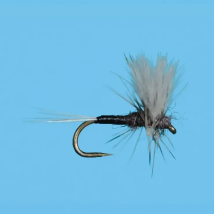 CDC Thorax Trico - Your Premium Fishing Gear Store Rods Lines Baits Accessories^ Clearance