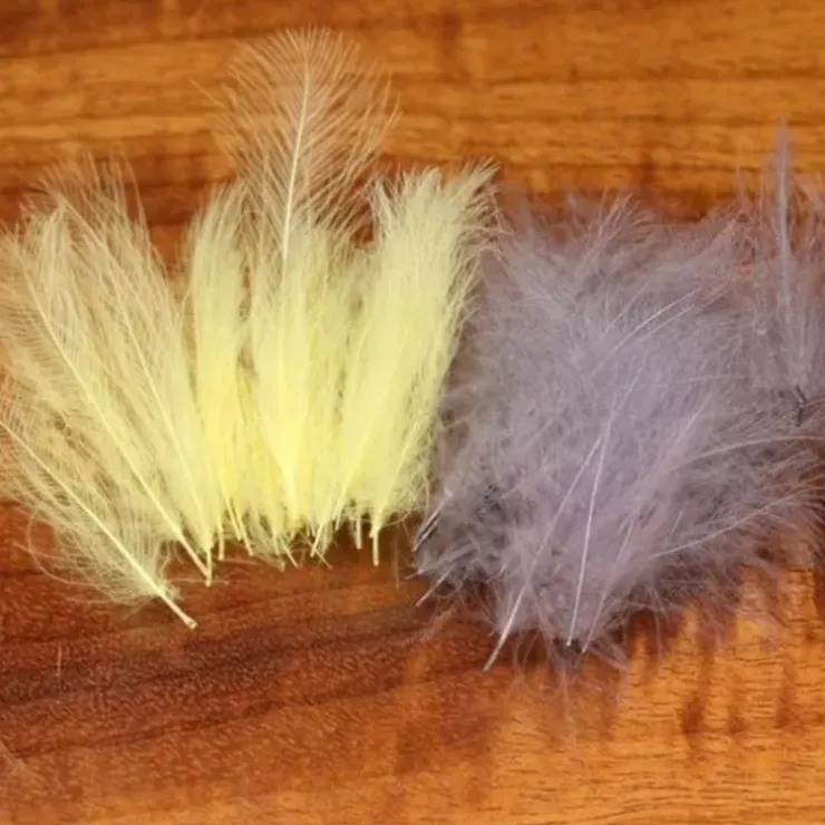 CDC - Your Premium Fishing Gear Store Rods Lines Baits Accessories^ Clearance