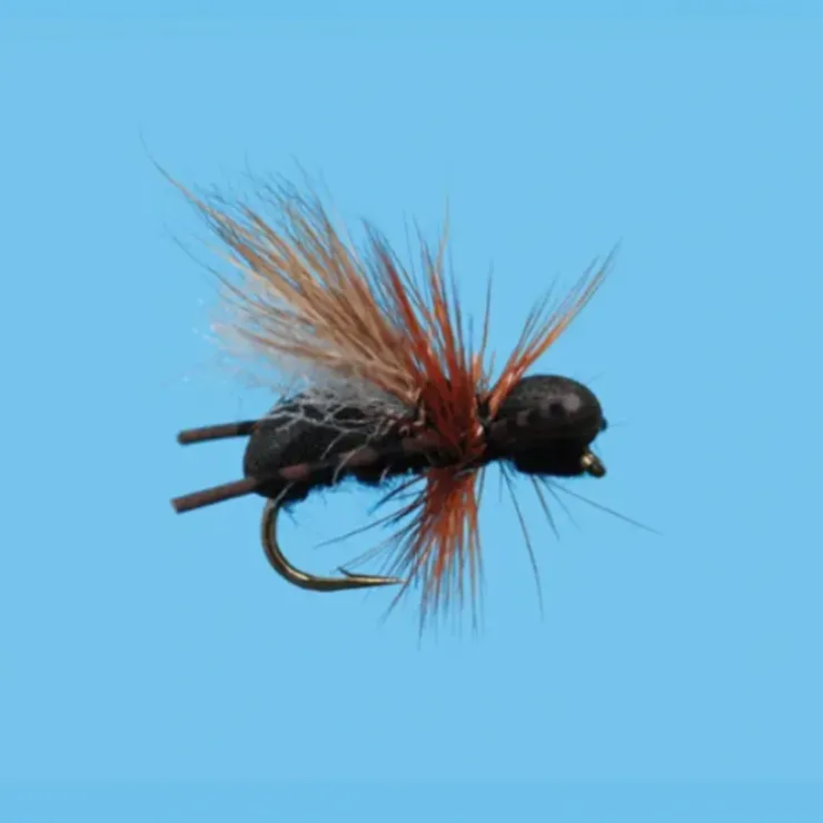 CFO Ant - Black - Your Premium Fishing Gear Store Rods Lines Baits Accessories^ Clearance