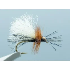CFO Mini Ant Black #14 - Your Premium Fishing Gear Store Rods Lines Baits Accessories^ Hot