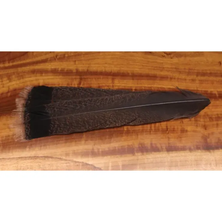 Cinnamon Tip Turkey Tail Feathers - Your Premium Fishing Gear Store Rods Lines Baits Accessories^ Cheap