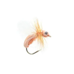 Cinnamon Toast Ant - Your Premium Fishing Gear Store Rods Lines Baits Accessories^ Best
