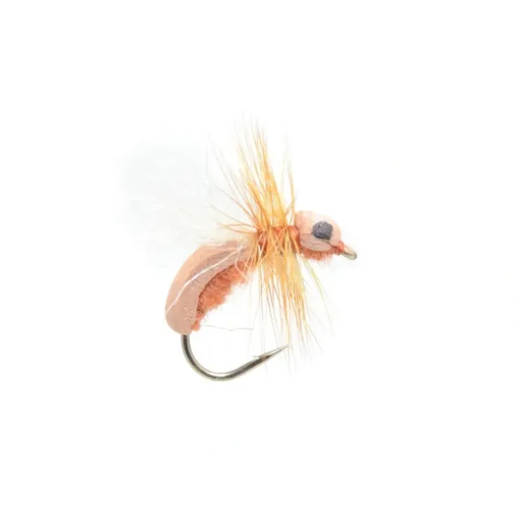 Cinnamon Toast Ant - Your Premium Fishing Gear Store Rods Lines Baits Accessories^ Best