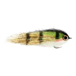 Clydesdale Gold Perch - Your Premium Fishing Gear Store Rods Lines Baits Accessories^ Best Sale