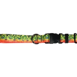 Cognito Dog Collar Brook Trout #2 - Your Premium Fishing Gear Store Rods Lines Baits Accessories^ Cheap