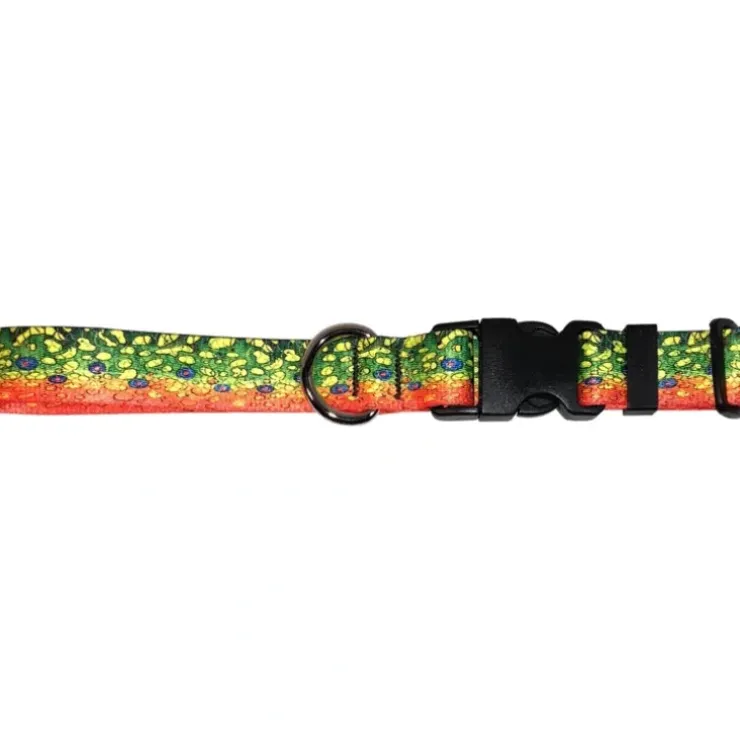 Cognito Dog Collar Brook Trout #2 - Your Premium Fishing Gear Store Rods Lines Baits Accessories^ Cheap