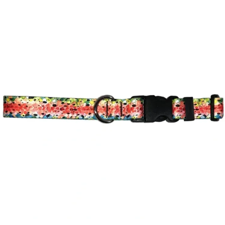 Cognito Dog Collar Rainbow #3 - Your Premium Fishing Gear Store Rods Lines Baits Accessories^ Sale